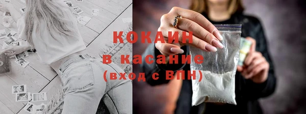 прущие грибы Алексин