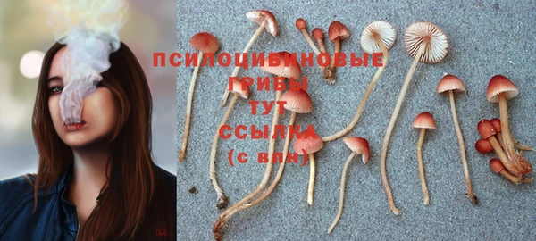 прущие крисы Алзамай
