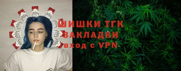 прущие грибы Алексин
