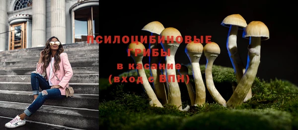 прущие грибы Алексин