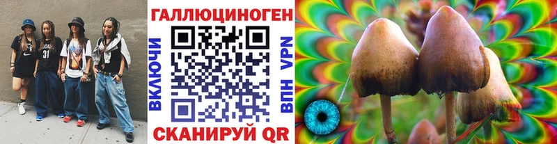 Галлюциногенные грибы Psilocybine cubensis  Новочеркасск 